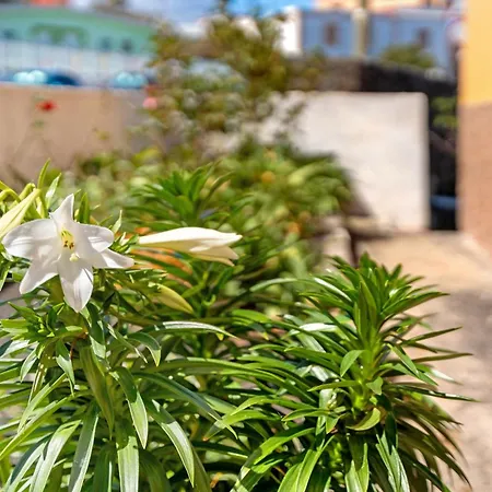 Casa Maruca 1 בית נופש *